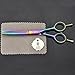 Ayliss Professional Barber Hair Cutting Scissors 5.5 inch with Case,#2 Thinning Scissor