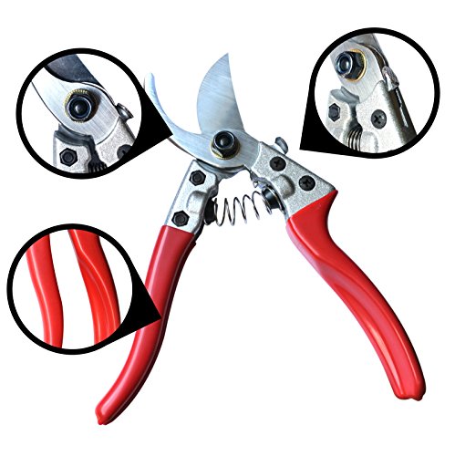 Professional Baumschere – Gartenschere mit lagerung halter tasche durch Belle Vous – Bypass Pruner Schere zum Schneiden von Hecken und Gras Schneiden – Garten Clippers, Baum Trimmer, Schneiden Astschere - 3