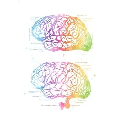 Cuadro Sobre Lienzo 90 x 130 cm: Human Brain Anatomy de Mod Pop Deco