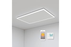 BYECOLD Calefacción por infrarrojos para techo, montaje en techo, 700 W, calefacción por infrarrojos con iluminación LED, calefacción por infrarrojos con termostato, control remoto por aplicación, panel de