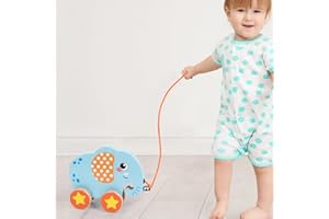 TK99SW Push and Pull Along Toy, Montessori Juguete Animales para Bebés De Madera, Juguete Educativo Andar Y Equilibrio Juguete De Habilidad Motora De Agarre Sensorial, para Bebés 1+ Año De Edad