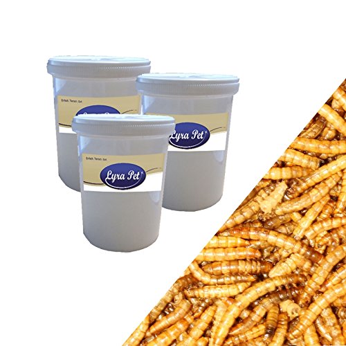 3 x 1 L Dose Mehlwürmer getrocknet Proteinfutter Futter Vogelfutter Reptilienfutter