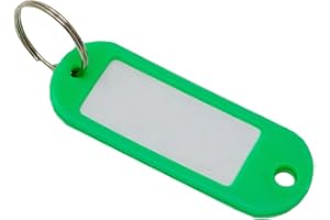 SBS 100 Stück Schlüsselschilder Schlüsselanhänger mit Etikett | zum beschriften | Grün