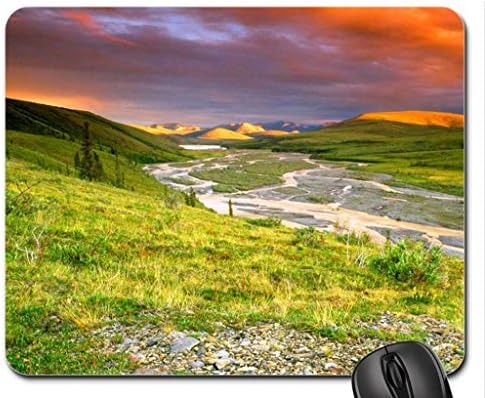 mycosis - Throw Pillow Cover Case (16" x 16")