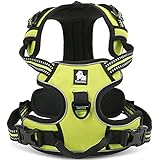 Treat Me Hundegeschirr Gepolstert Atmen Frei Verstellbar Haustier No-Pull-Geschirr Leicht sicher Kontrolle Körper Haustier Brustgeschirr für Kleine/Mittlere/Große Hunde