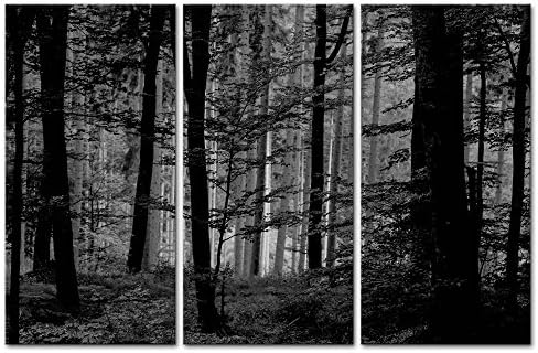 Canvas Wall Art Paintings For Home Decor Black And White Forest Picture 3 Pieces Modern Giclee Framed Artwork The Tree Pictures For Living Room Decoration Natural Scenery Photo Prints On Canvas