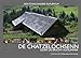 Produktbild De Chatzelochsenn Plakat Movie Poster (11 x 17 Inches - 28cm x 44cm) (2009) Swiss