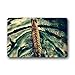 Produktbild DOUBEE Generisches Tiger Rutschfest Fussmatte Premium Schmutzmatte Fußabstreifer 46cm X 76 cm