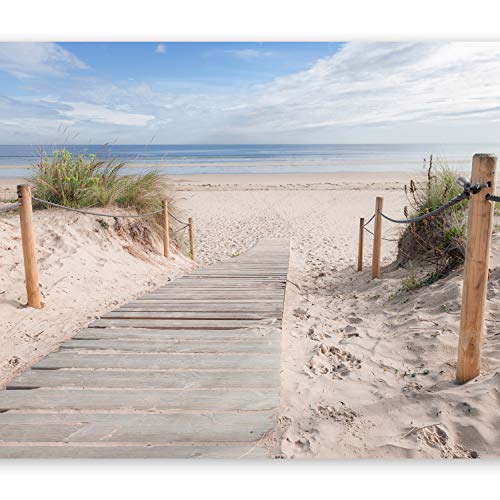murando Fotomurales Playa 300x210 cm XXL Papel pintado tejido no tejido Decoración de Pared decorativos Murales moderna de Diseno Fotográfico - paisaje c-B-0005-a-b