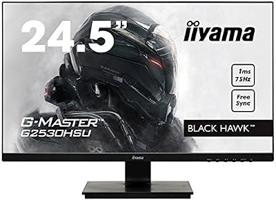IIYAMA Black Hawk Moniteur Grand Public 24,5" (62,2 cm) HDMI 1920 x 1080 Noir