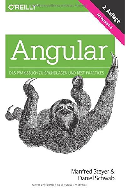 Angular Das Praxisbuch Zu Grundlagen Und Best Practices Amazon De Manfred Steyer Daniel Schwab Bucher