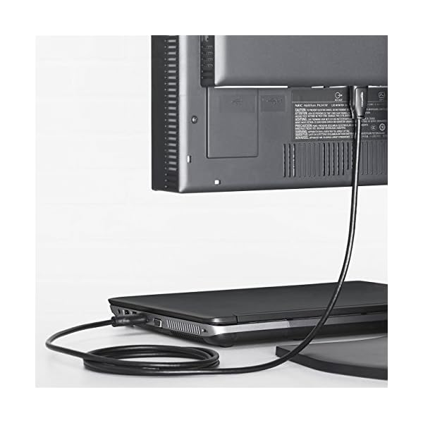 Amazon Basics - Cable adaptador DisplayPort a DisplayPort - 0,9 m - Image 3