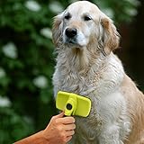 Pecute Selbstreinigende Activet Hundebürsten