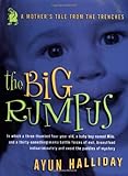 Image de The Big Rumpus: A Mother's Tale from the Trenches