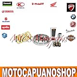  Variador Malossi 5111225 Multivar Aprilia Leonardo 300 250 4T Lc