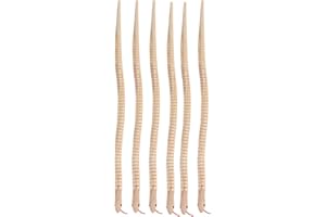 STOBOK 6 Piezas de Madera sin Terminar Serpiente de Madera Wiggly Snakes Articulado Flexible Serpiente de Juguete en Lienzo Animal Modelo Artesanías Juguetes para Artesanías