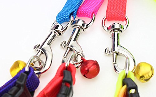DaWa-1-Pcs-12m-Durable-Pet-Dog-Nylon-Adjustable-Loop-Training-Leash-Slip-Lead-Traction-Rope-Dog-Chain-Belt-Pet-Dog-SuppliesColorful