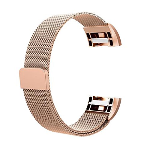 Preisvergleich Produktbild Chunyang Magnetverschluss Uhrenarmband-Smart-Handgelenk-Band ersetzen Woven Edelstahl-Kettenarmband-Gurt für Fitbit 2 aufladen