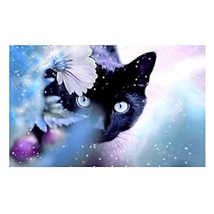 Black Cat 5D Diamond DIY Painting Craft Kit Amazingdeal365 Home Decor