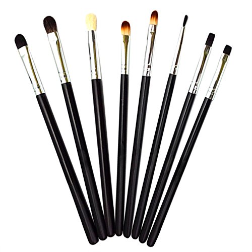 Sanwood 8x Eye Brushes Set Blend Eyeshadow Angled Smoked Makeup Brush