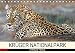 KRÜGER NATIONALPARK Afrikas Perle (Tischkalender 2018 DIN A5 quer): Faszinierende Tiere und Natur (Monatskalender, 14 Seiten ) (CALVENDO Tiere) [Kalender] [Apr 25, 2017] Woyke, Wibke - Wibke Woyke