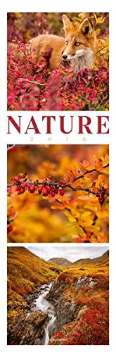Nature 2018: NEU