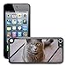 Produktbild Hard Schale Skin Premium Shell Case Handy Cover Etui // M00146698 Cat Garmin Tieraugen Downy Pelz // Apple ipod Touch 5 5G 5th