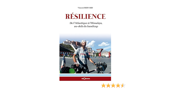 Resilience De L Atlantique A L Himalaya Au Dela Du Handicap Recits Ebook Bernard Vincent Amazon Fr