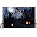 Price comparison product image Tianya Halloween Backdrops Pumpkin Vinyl 5x3FT Lantern Background Photography Studio 3D Studio Background (F)