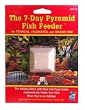 API 7 Day Holiday Feeder