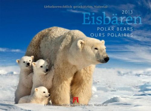Eisbären 2013