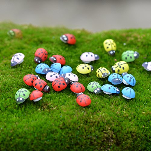 100x Da.Wa Miniature Fairy Garden Ladybugs Sticker Ornament Home Decoration Outdoor reviews 100x Da.Wa Miniature Fairy Garden Ladybugs Sticker Ornament Home Decoration Outdoor