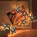 Produktbild ---Weihnachten LED Lichterkette Batterie | Weihnachtsfeier Garten Dekoration Licht Flashing Glühen Lantern Lichter | Indoor Home Dekorationen Halloween Weihnachten | 2M 10LED (Seestern)