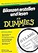Bilanzen erstellen und lesen Für Dummies by