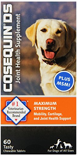 Cosequin-Ds-Chewables-Plus-Msm-60Ct