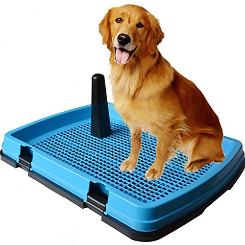 Pet-Dog-Toilet-Large-Dog-Dog-Potty-Large-Dog-Flat-Basin-Without-Diapers-Large-Thickening