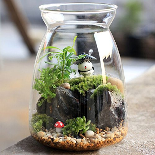 H förmigen Speicher mit Deckel Flasche Klarglas Vase für Pflanze Blume Dekor - 2