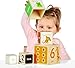 Tidlo Animal Stacking Cubes
