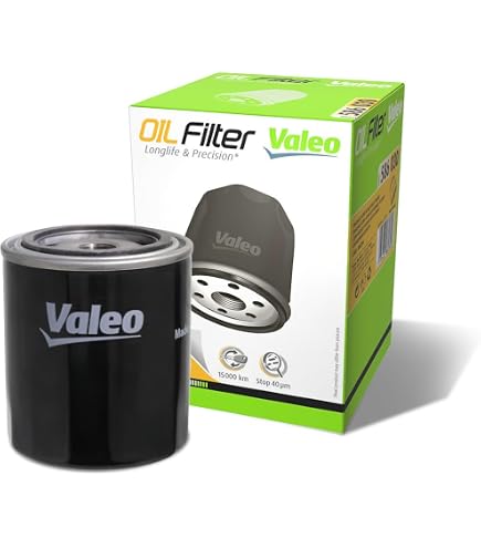 VALEO 587717 Filtro Carburante - Alta Filtrazione, Durevole E Preciso - Proteggi Il Motore Da Sporcizia E Ruggine - Sostituto Originale