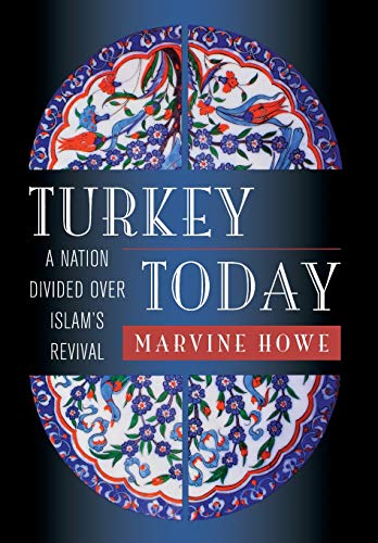 Turkey Today: A Nation Divided Over Islam's Revival livre