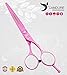 CANDURE® 6" Professional Hair cutting Scissor - Stainless Steel - Hairdressing Barber Salon Scissors + A Beautiful Presentation Case (Pink (6"))