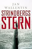 Strindbergs Stern: Roman (Fischer HC)