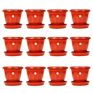 Kriti Kalash Planter Pot with Bottom Plate/Tray (8 inch, Red) - Pack of 12 Pots