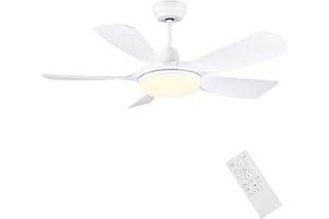 Newday Ventilatore da Soffitto con Luce e Telecomando Bianco, 106cm Ventilatore da Soffitto con Lampada Dimmerabile, Pale da Soffitto Silenzioso con Motore DC 3 Timer 6 Velocità Funzione di Memoria