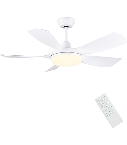 Dimmer met afstandsbediening - Plafondventilators kopen? | Korting
