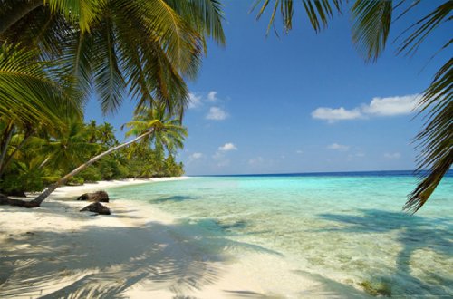 XXL Poster Mini Fototapete (905) Beach - 161 x 115 cm 1-Teilig - Strand Palmenstrand Palmen Karibik Sonne Wasser Himmel Südsee Meer - Deutsches Qualitätsprodukt - Großformat Riesenposter Fototapete Motivtapete Postertapete Bildtapete Wall Mural