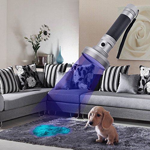 Duomishu Schwarzlicht Tachenlampe mit 100 LEDs und UV-Schutzbrille Ultra Violet Licht UV-Licht Handschwarzlicht -Fleck-Detektor zu Scorpions Bettwanzen Haustier Hund Katze Urin & Lecks Diagnose Überprüfen von Falschgeld Hotelzimmer Teppichen Möbel Gardinen Vorhänge und anderen Stoffen Ultraviolett Schwarzlicht Taschenlampe Professional UV Taschenlampe - 4