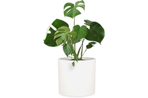 Fox & Fern Macetero, Maceteros Decorativos Interior, Macetas Exterior Grandes, Maceta Grande Plantas y Flores Resistente a Rayos UV y Heladas, Maceteros Exterior, Tapón de Drenaje, Piedra de Fibra