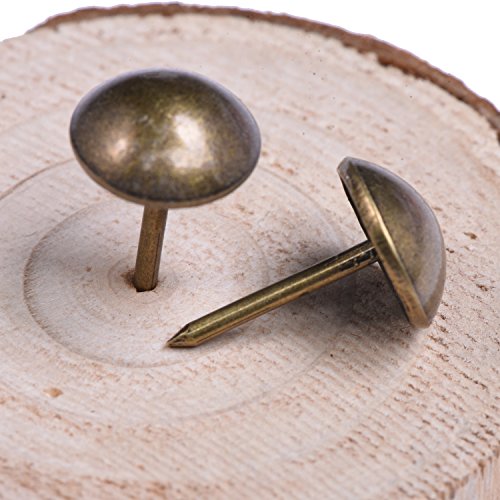 Outus Polster Reißzwecken Antike Messing Möbel Nägel Nadeln, 11 x 17 mm, 100 Stück - 