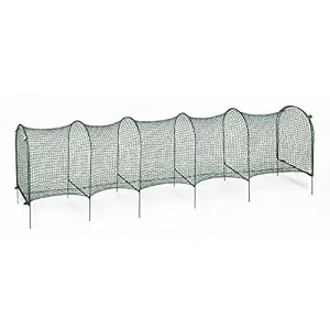 Kittywalk Outdoor Net Cat Enclosure for Lawns